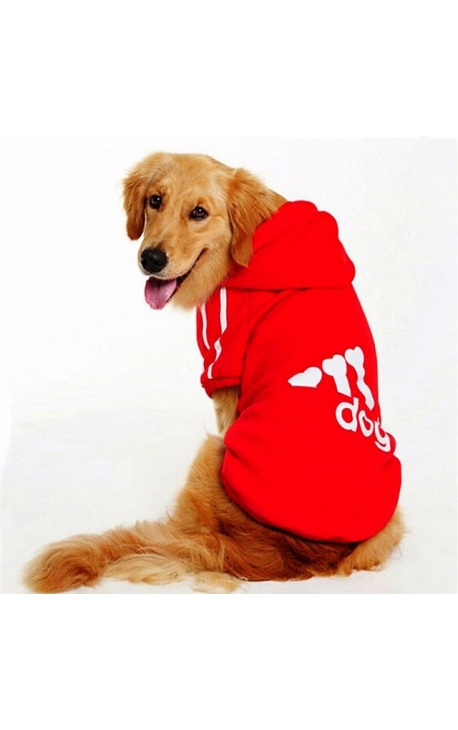 Dog Winter Clothes Big Size 