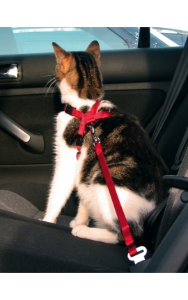 Trixie Cat Car Harness