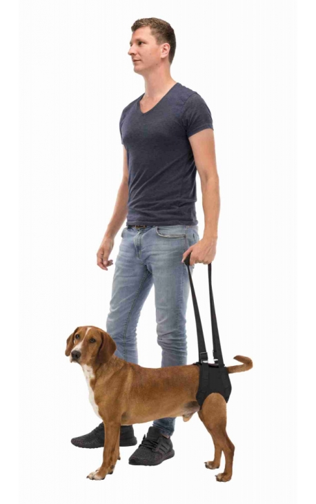 Trixie Walking Aid - Medium