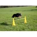 Kerbl Agility Cone-Hurdle Set