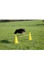 Kerbl Agility Cone-Hurdle Set
