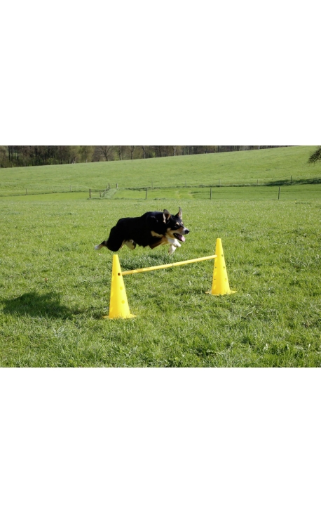 Kerbl Agility Cone-Hurdle Set