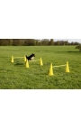 Kerbl Agility Cone-Hurdle Set