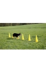 Kerbl Agility Cone-Hurdle Set