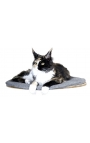 Kerbl Wall-Mounted Pet Bed Tofana
