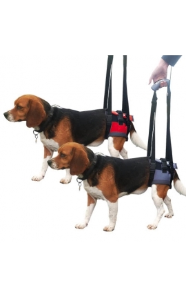 Genia Σαμαράκι αναπηρικό/αποθεραπείας Οπίσθιων άκρων LARGE