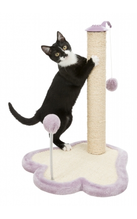 Trixie Junior Scratching Paw with Post