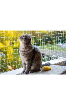 Pawise Protection Net for Cats Transparent 3 x 2m