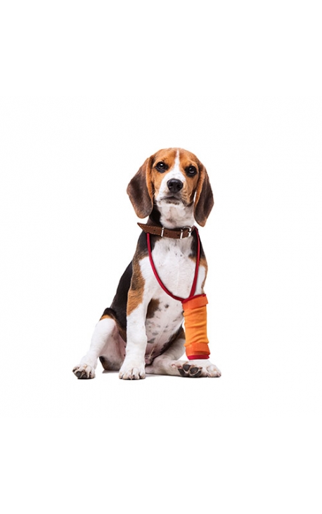 Προστατευτικά Άκρων - Βραχίονας (δεξιός-αριστερός)