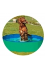 DOGGY POOL GREEN/BLUE 80CM DIAM.