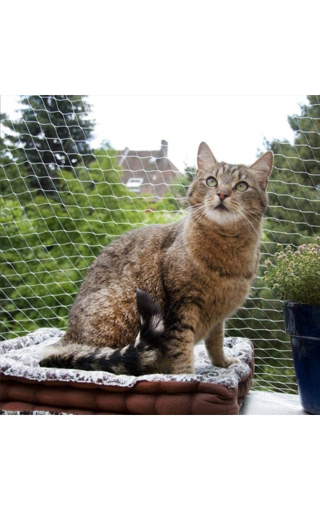 PAWISE Protection Net for Cats Transparent 6 x 3m