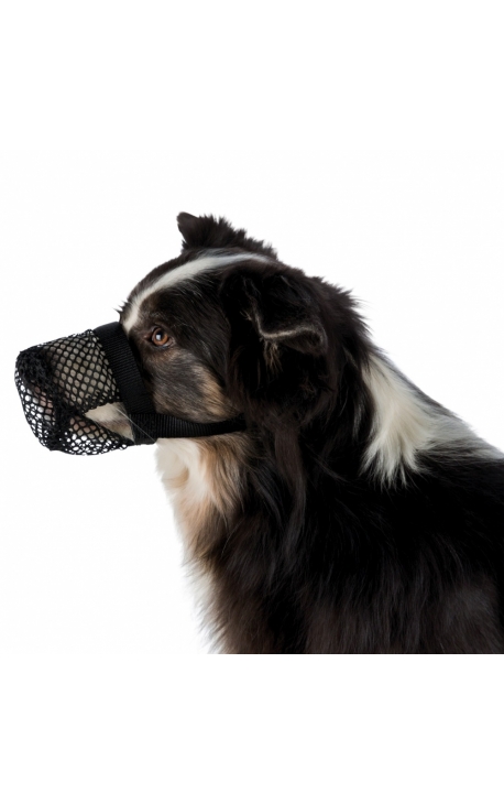 Trixie Protection Anti-Intoxication