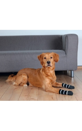 Trixie Dog Socks XS-S