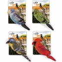 AFP Natural Catnip Bird