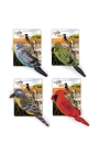 AFP Natural Catnip Bird