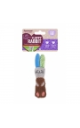 Rosewood Little Nippers Floppy Rabbit