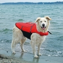 Nobby Life Vest