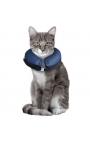 INFLATABLE COLLAR FOR DOGS & CATS XS