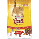 Lara Adult with Beef 10 kg